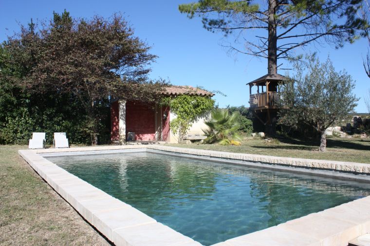 Pool with the tree house in the background