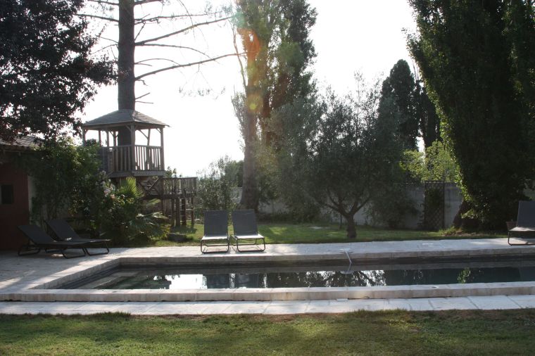 Early morning by the pool