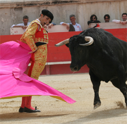 les_corridas_pave