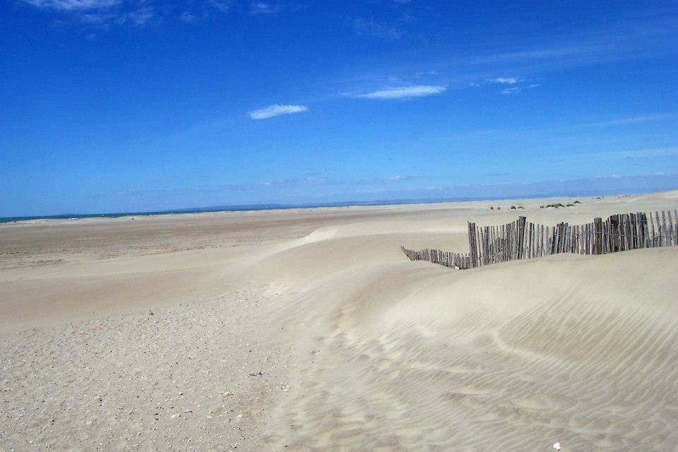 Espiguette