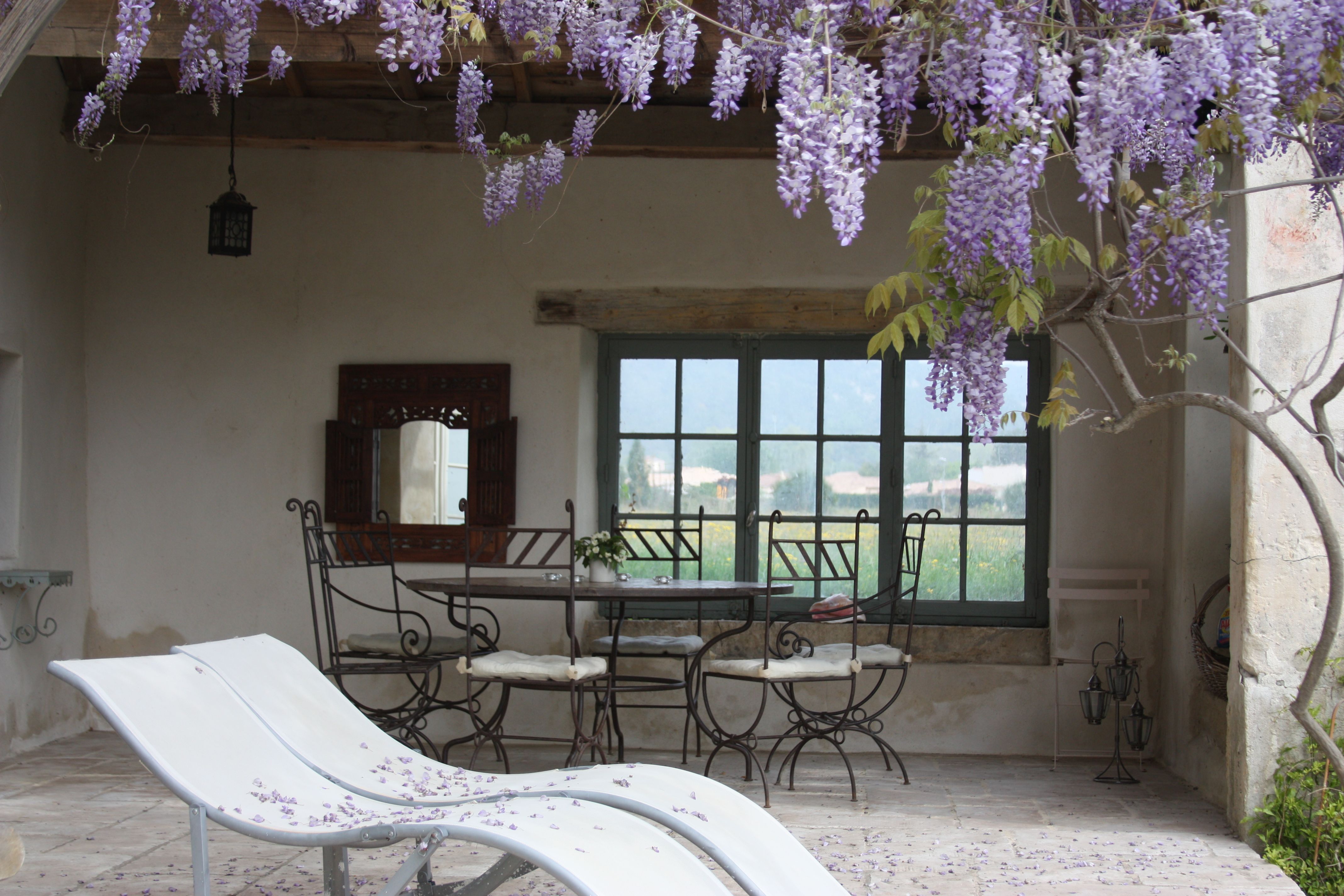 Wysteria terrace 3