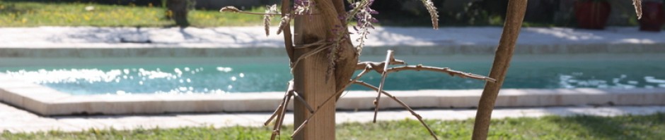 cropped-img_7512.jpg